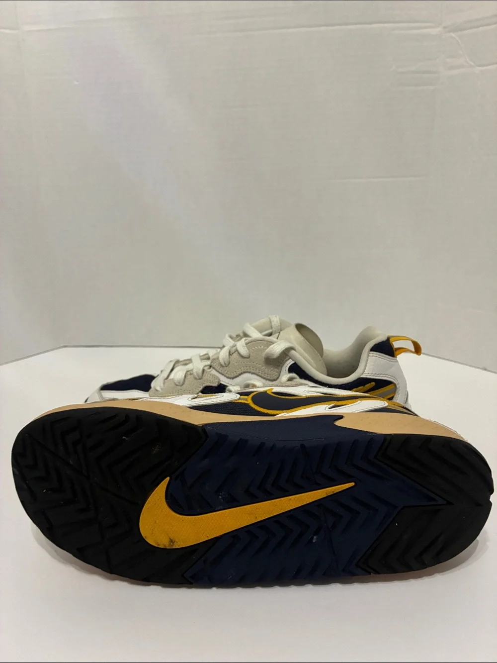 Women’s Nike skater sneakers